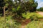 Land at Mtwapa - 9