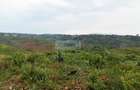 6.2 ac Land in Kisumu - 5