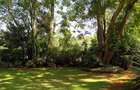 Land in Lavington - 17