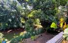 3 Bed House with Garden in Spring Valley - 2