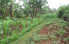Residential Land at Gacharage Junction - 6