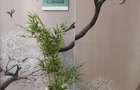 1 Bed Apartment with En Suite in Lavington - 2
