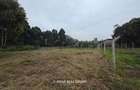 0.5 ac Land in Garden Estate - 2