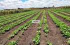 20 ac Commercial Land in Kisaju - 2