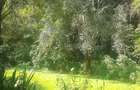 0.75 ac Residential Land at Naivasha Road - 5