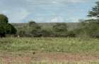 Land in Mombasa Road - 4