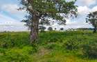 506 m² Land at Mavueni - Mariakani Bypass - 20