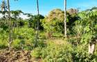 Land at Kwale - 5
