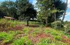 Residential Land in Tigoni - 3