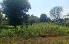 1 ac Land at Ngecha - 1