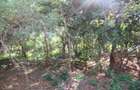 Land at Off Diani Beach Rd - 8