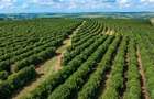 Land in Kiambu Road - 2