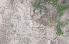 0.125 ac Land at Kyumvi Junction - 6