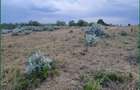 Residential Land in Narok - 2
