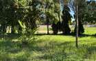 2 ac Land at Mtwapa - Animo - 19