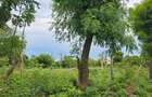 4.5 ac Land at Mtwapa - 1