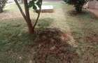5 Bed Townhouse with En Suite in Lavington - 9