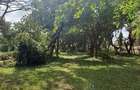 Land at Shanzu Serena - 12