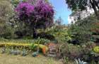 4 Bed House with Garden in Muthaiga - 1