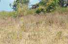Land in Kilifi - 4