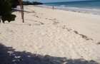 Land at Diani - 7