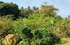 Land at Tiwi Near Diani South Coast - 7