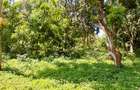 Land at Mtwapa - 6