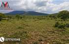 0.125 ac Land at Ilngarooj - 4