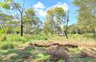 Residential Land at Shanzu Road - 38