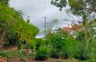 40 ac Land at Vipingo Kuruwitu - 11