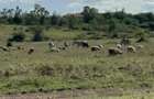 Land in Mombasa Road - 15