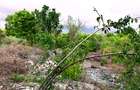 2,010 m² Residential Land at Second Row Kuruwitu Beach - 17
