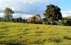 21 ac Land in Cianda - 5