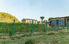 0.125 ac Residential Land in Naivasha - 4