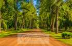0.125 ac Residential Land at Juja-Gatundu Road - 8