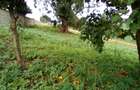 Land at Red Hill Rd - 19