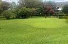 Commercial Property at Karen-Langata Road - 4