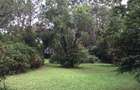 3 Bed Townhouse with En Suite in Gigiri - 18