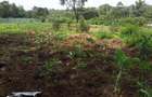 1 ac Land in Karen - 8