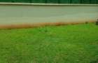 5 Bed Townhouse with En Suite in Lavington - 2