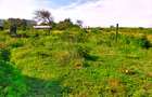Land in Kikambala - 13