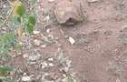 0.125 ac Land in Machakos County - 1