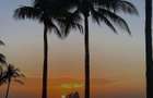 Land at Funzi Keys Resort — A Rare Beachfront Opportunity | Funzi Island - 19