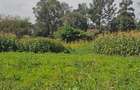 0.365 ac Land at Mushroom Road - 7