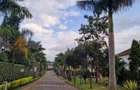 3 Bed House with Swimming Pool in Kiambu Road - 1
