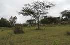 2 ac Land at Nkoroi - 4