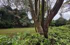 Land in Ngong Road - 6