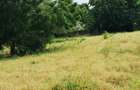 Land at Kilifi Town - 8