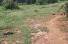 Land at Tiwi Near Diani South Coast - 13