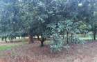 0.125 ac Residential Land at Juja Gatundu Road - 31